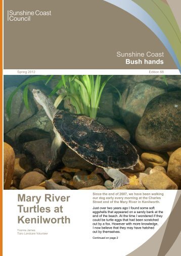 Mary River Turtles at Kenilworth - Sunshine Coast Council