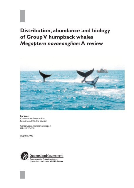 Distribution, abundance and biology of Group V humpback whales ...