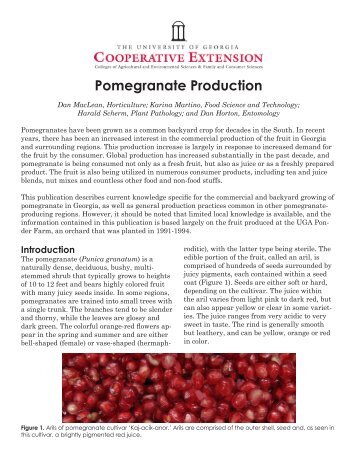 Pomegranate Production - UGA College of Agricultural and ...