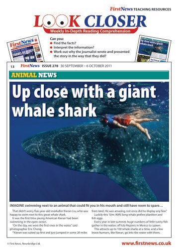 Up close with a giant whale shark - First News