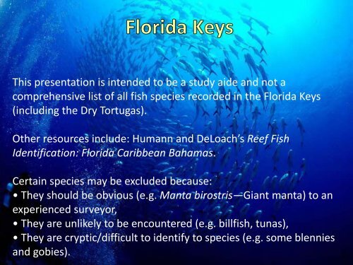 Florida Keys Fish Identification Study Guide