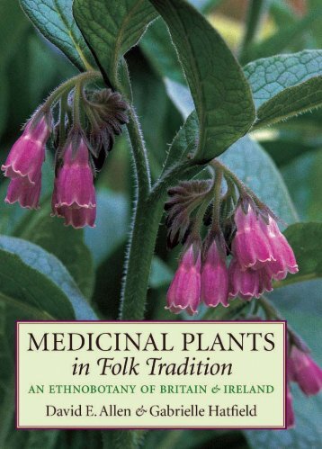 MEDICINAL PLANTS in Folk Tradition - Killerwall.net