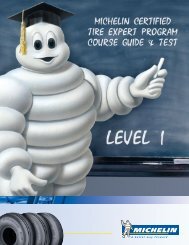 Download - Michelin Aircraft Tires