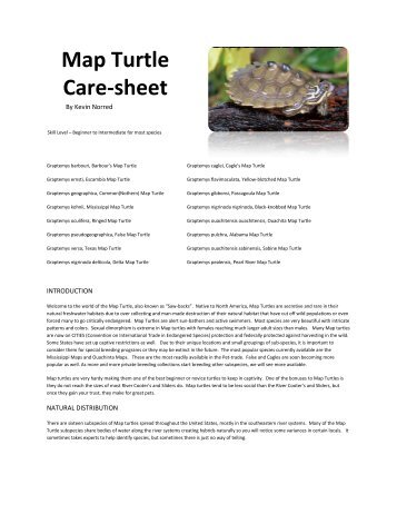 Map Turtle Care-sheet - The Tortoise Home