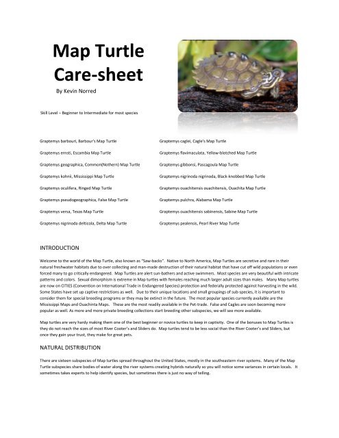 Map Turtle Care-sheet - The Tortoise Home