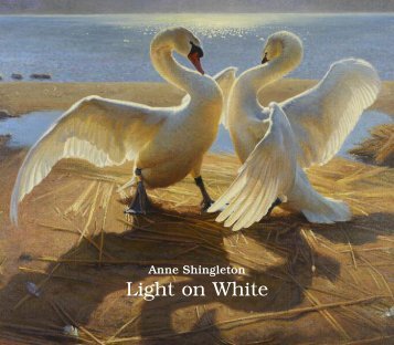 Light on White - anne shingleton