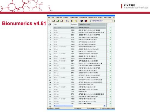 Spa Typing Examples Bionumerics v4.61