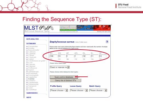 Spa Typing Examples Finding the Sequence Type