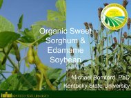 Organic Sweet Sorghum & Edamame Soybean - Kentucky State ...