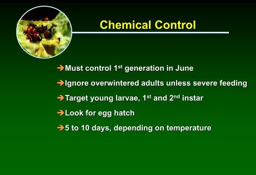 Biologically-based insect pest management in solanaceous crops