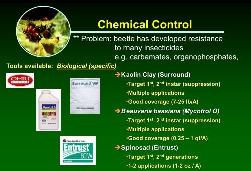 Biologically-based insect pest management in solanaceous crops