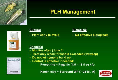 Biologically-based insect pest management in solanaceous crops