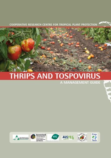 Thrips and tospovirus - Department of Primary Industries