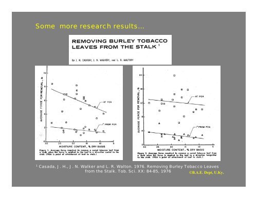 Stripping Burley Tobacco – - BAE