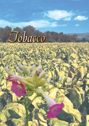 Tobacco profile
