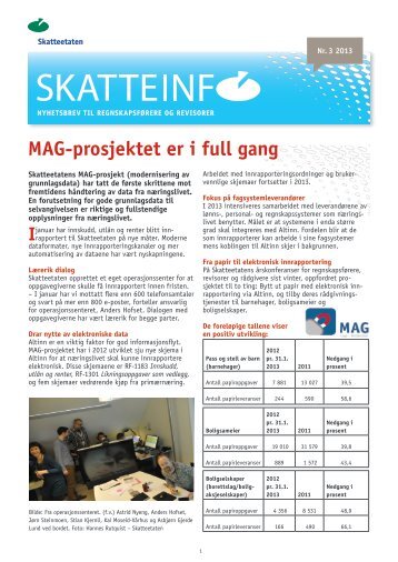 Skatteinfo-3-2013