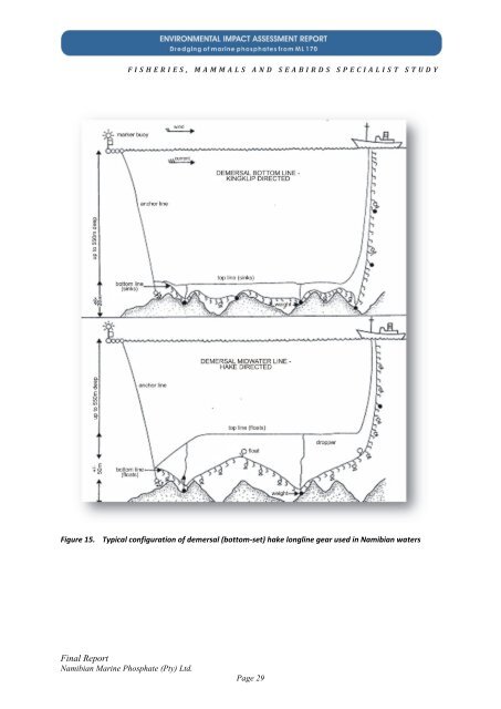 Fisheries - Enviro Dynamics Namibia
