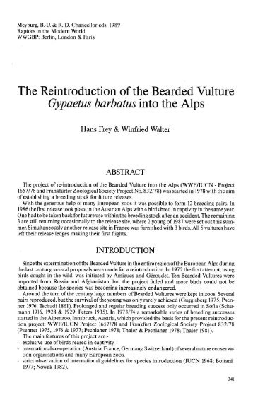 The Reintroduction of the Bearded Vulture Gypaetus barbatus into ...