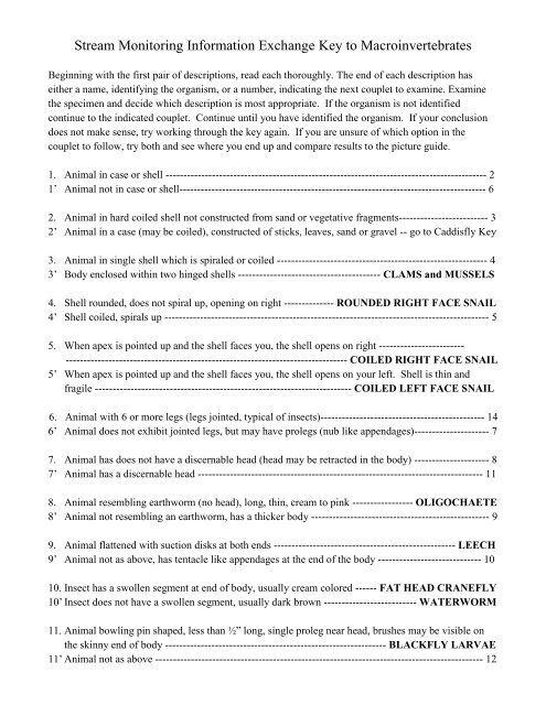 Aquatic Macroinvertebrate Dichotomous Key