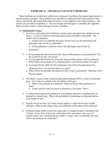 EXERCISE 11 – MENDELIAN GENETICS PROBLEMS