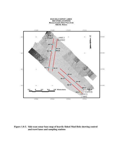 Smooth Bottom Net Trawl Fishing Gear Effect on - New England ...