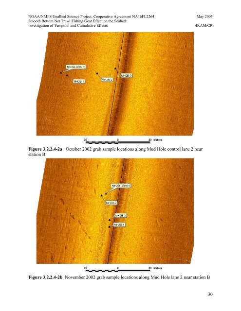 Smooth Bottom Net Trawl Fishing Gear Effect on - New England ...