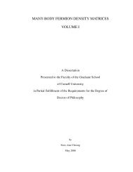many-body fermion density matrices volume i - Cornell University