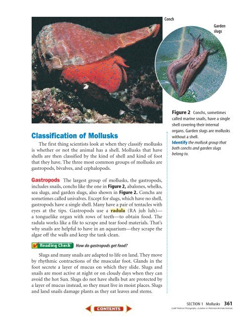 Chapter 13: Mollusks, Worms, Arthropods, Echinoderms