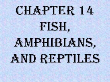 Fish, amphibians, and reptiles