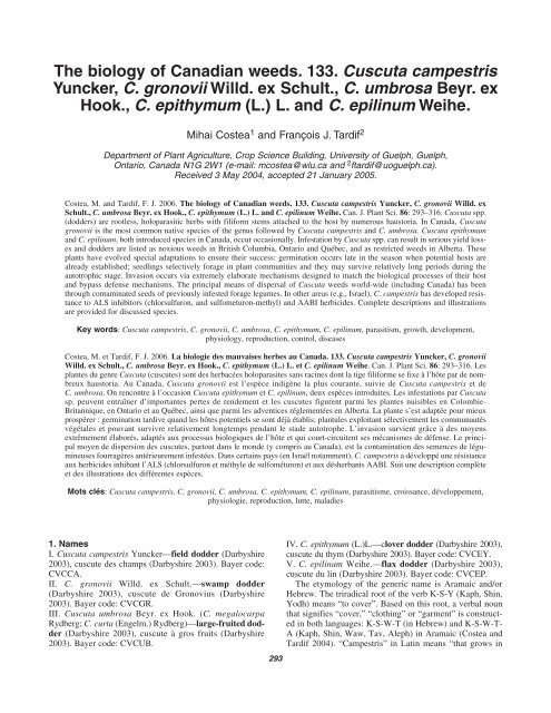 The biology of Canadian weeds. 133. Cuscuta campestris