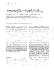 Cryopreservation of Quercus suber somatic embryos - Tree Physiology