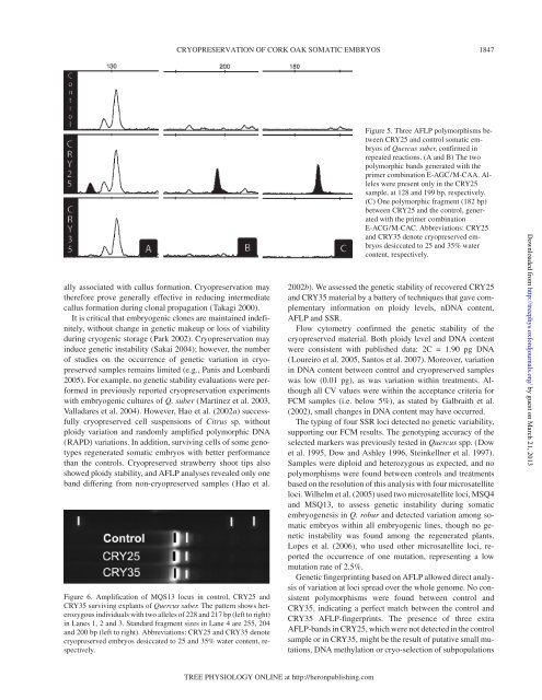 Cryopreservation of Quercus suber somatic embryos - Tree Physiology