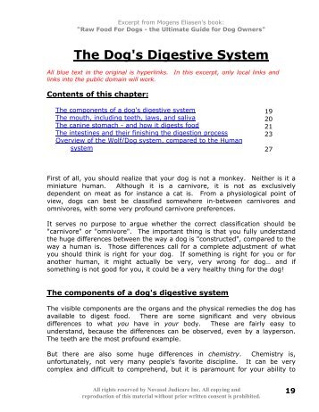 The Dog's Digestive System - K9joy
