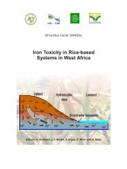 Iron Toxicity in Rice-based Systems in West - Africa Rice Center - cgiar