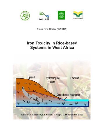 Iron Toxicity in Rice-based Systems in West - Africa Rice Center - cgiar