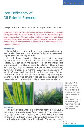 Iron Deficiency of Oil Palm in Sumatra - International Plant Nutrition ...
