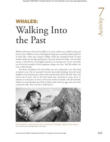 Activity 7—Whales: Walking Into the Past