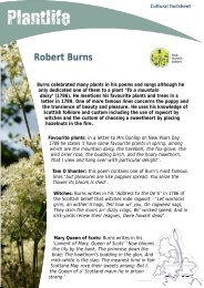 Robert Burns.pub - Wildflower Europe