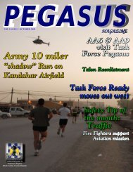 Pegasus - Military News Network