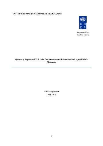 Project second quarter report - UNDP Myanmar - United Nations ...