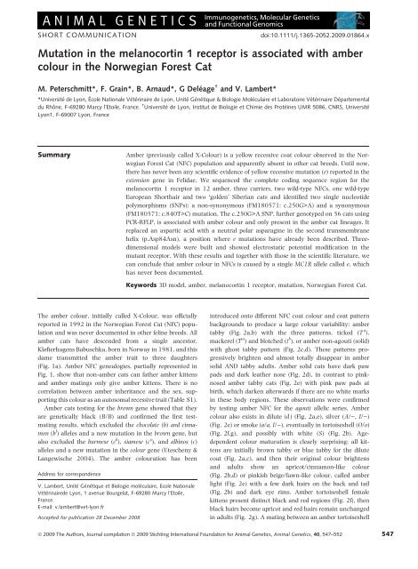 Mutation in the melanocortin 1 receptor is associated with amber ...