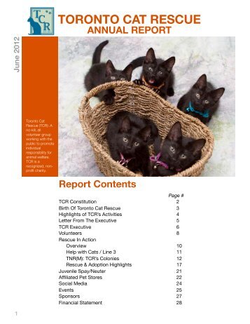 Big Cat Rescue Annual Report Big Cat Rescue Annual Report