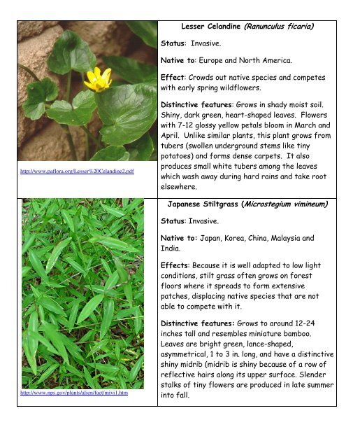 Invasive Plants Flashcards (pdf)