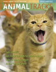 Cats in crisis Get ready! - Animal Humane Society