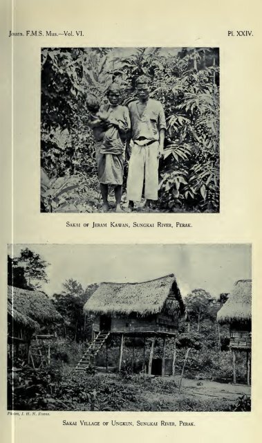 Journal of the Federated Malay States museums - Sabrizain.org