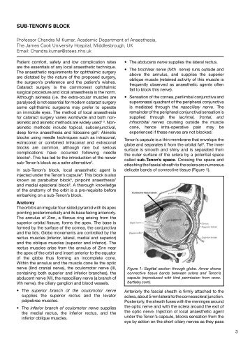 Download – Sub-Tenon's Block - Update in Anaesthesia