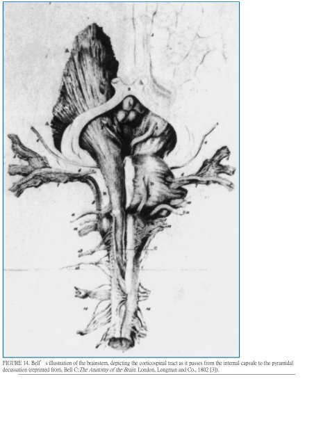 Surgical Anatomy of Supratentorial Midline Lesions