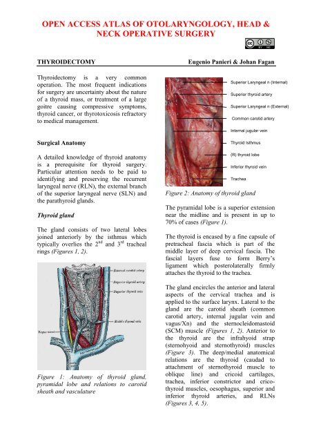 Thyroidectomy - Vula - University of Cape Town