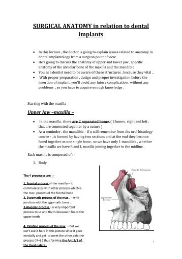 (3) Surgical Anatomy in Relation to Dental Implants - my toothy