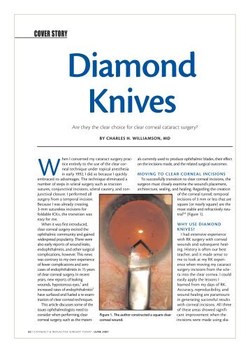 Cover story about diamond knives - Meyco